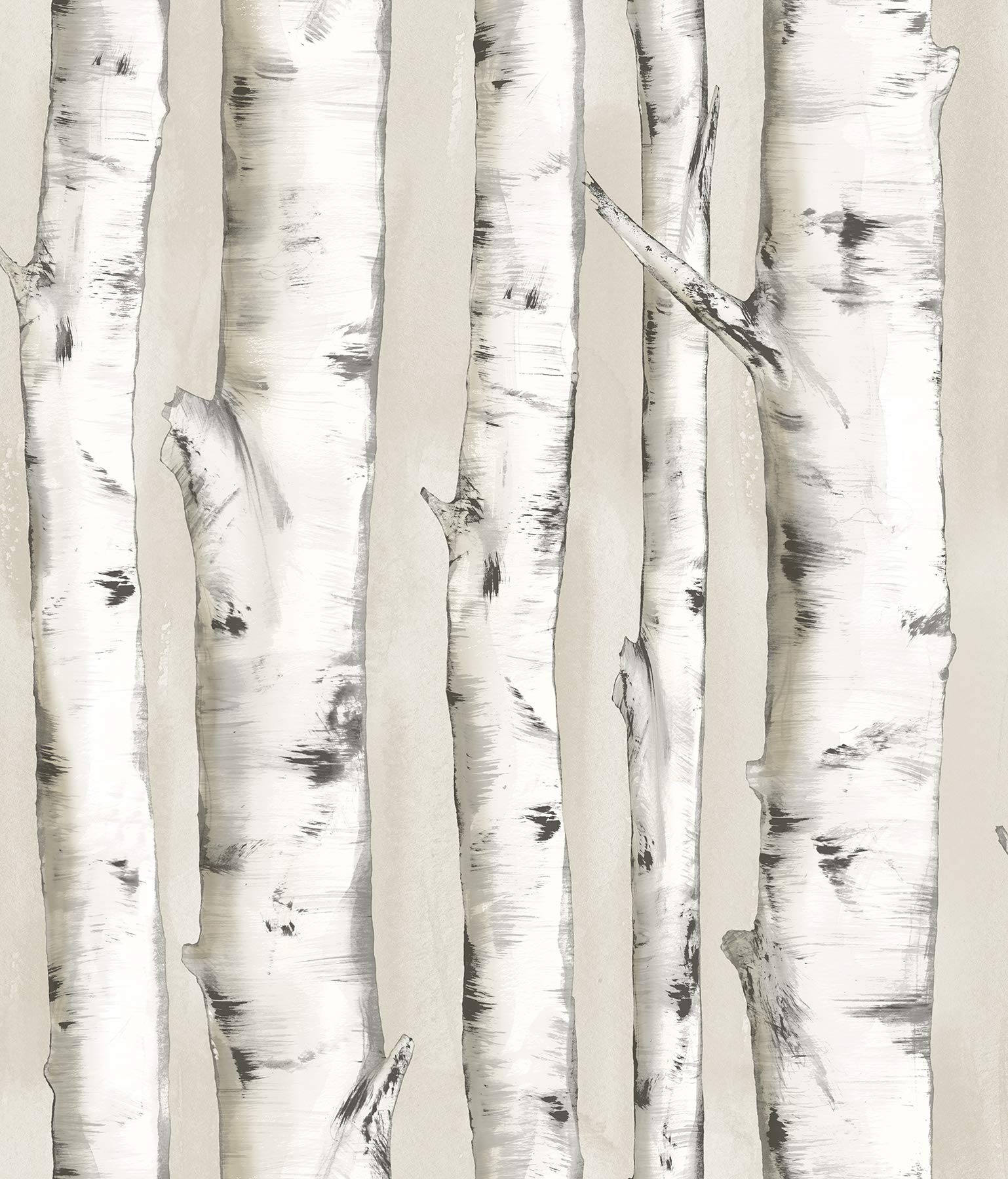 Chesapeake Pioneer Off-White Birch Tree Wallpaper image 0