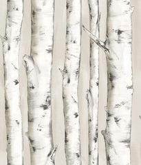 Chesapeake Pioneer Off-White Birch Tree Wallpaper image 0