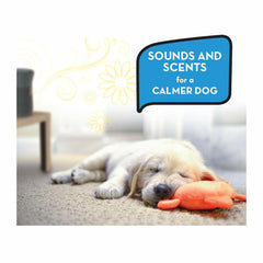 ThunderCloud Calming Sound Machine & Essential Oils Diffuser - Aromatherapy and Soothing Sounds for a Better Night's Sleep