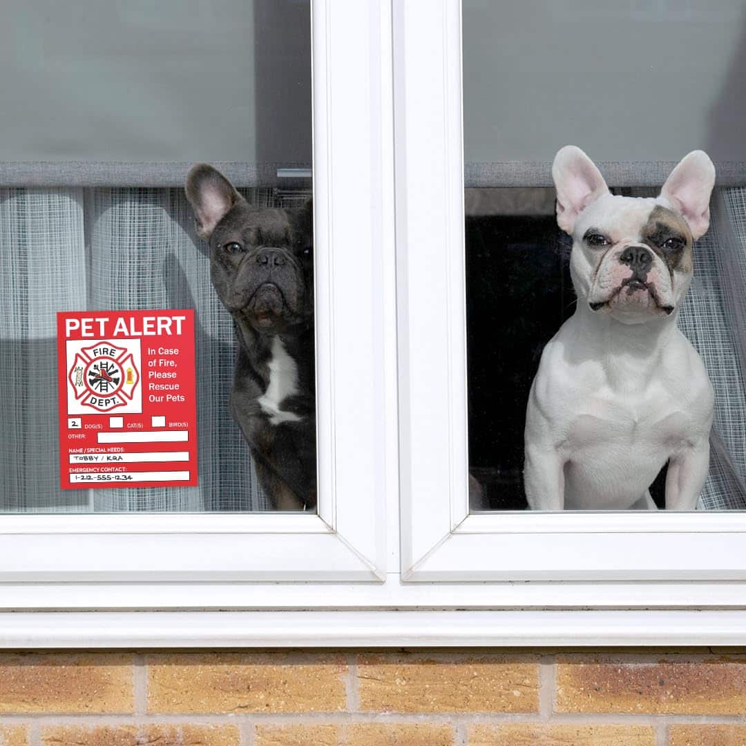 Pet Alert Safety Fire Rescue Stickers - 6 Pack - Save Our Pets Emergency Pet Inside Decal - in Case of Emergency Danger Pet in House Home Window Door Sign image 9